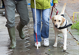 Chien guide avec une personne mal-voyante.